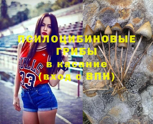 СК Алзамай