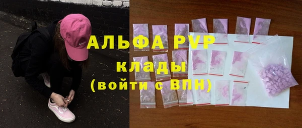 СК Алзамай