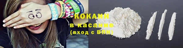 тгк Семилуки