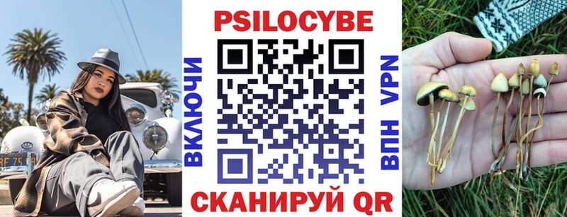 Псилоцибиновые грибы Psilocybe  закладка  Макушино 